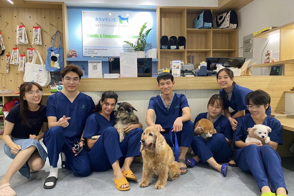 The ASVELIS team with dogs at the clinic