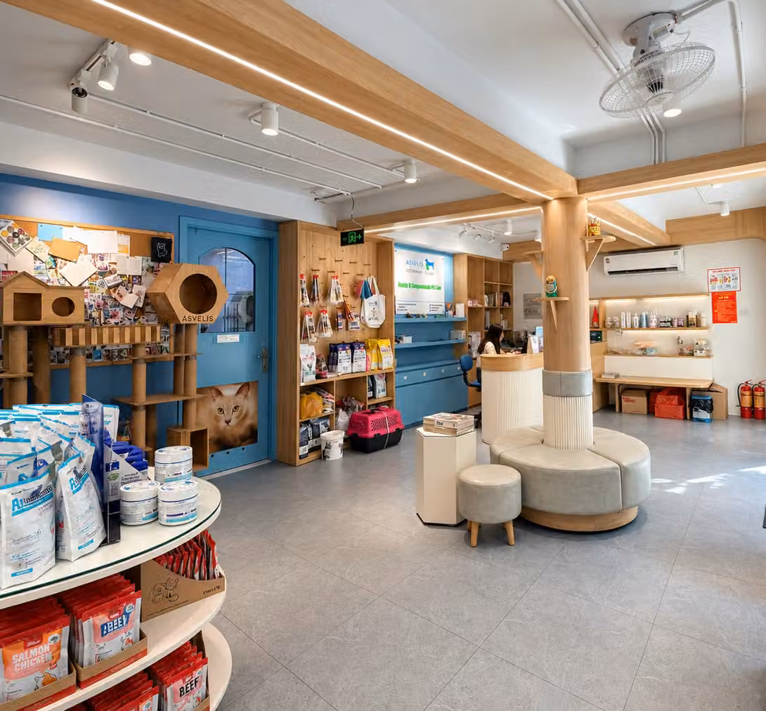 The clinic’s shop: food, cat trees and a travel crate on the shelves, reception behind